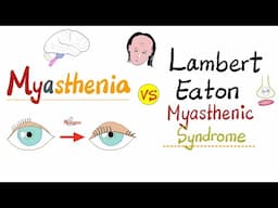 Myasthenia Gravis (MG) vs. Lambert-Eaton Myasthenic Syndrome (LEMS) - Neurology