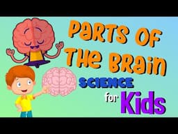 Parts of the Brain | Science for Kids