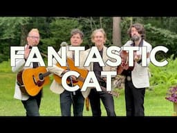 Fantastic Cat — "Later On" | Neighborhoods (Live at Pocono Lake, PA)