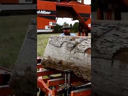 Old School Portable Saw-Milling   #woodmill #wood #sawmill #woodworking