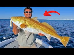 Fishing a Popper in the Gulf for Giant Bull Redfish! [EPIC Results]