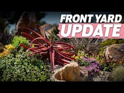 Walkabout Wednesday | Front Yard Fall Update