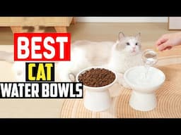 ✅Top 5 Best Cat Water Bowls, Tested With Real Cats in 2024