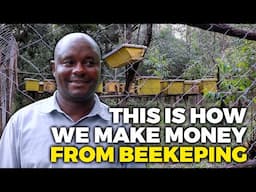 How to Start Beekeeping: Beginners Guide to Beekeeping