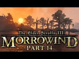 Morrowind - Part 14 - I'm Sorry, It's My First Day...