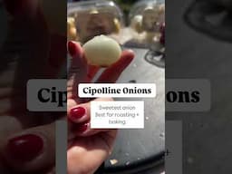 Are You Using the right Onion?