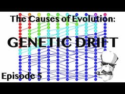 Genetic Drift | The Causes of Evolution | Ep. 5