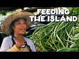 The Most Popular Island in the Philippines Can't Feed Itself Yet (Siargao)