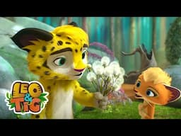 O Rio de Prata | Desenhos infantil 🐯🦁 Leo & Tig