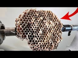 Woodturning - The Wasps Nest