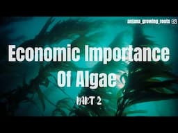 Economic Importance Of Algae | Industries | Sewage disposal | Petroleum | Indicator Of Waste