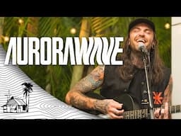 Aurorawave - Boiling Point (Live Music) | Sugarshack Sessions