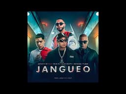 Arkey-O ❌ Wisin ❌ Ñengo Flow ❌ Almighty - Jangueo