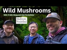 Wild Mushrooms with Yi-Min and Alan Rockefeller in Mushroom Wonderland