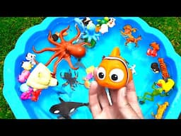 NEW Shark Octopus Walrus Dog Frog Toy Figures Unboxing!