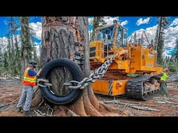 Amazing Powerful Cutting Tree Chainsaw Machines | Incredible Fastest Woodworking Machines in Action