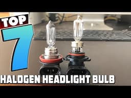 7 Best Halogen Headlight Bulbs for Optimal Road Safety in 2024