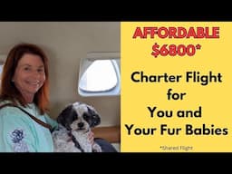 Affordable Charter Flights for You and Your Pets to Move to Panama