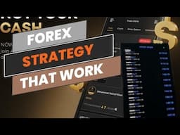 FOUR STAGES IN THE FOREX MARKET