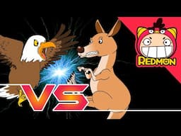 Kangaroo vs Eagle | Animal Battle | 4K cartoon | REDMON