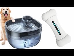 5 Incredible Amazon Gadgets for Pet Owners | Top 5 Best Gadgets for pets | JoysPets