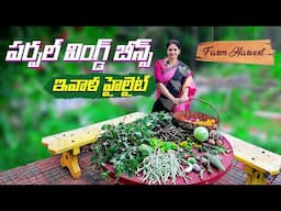 Farm Harvest/కొన్ని పాతవి అయిపోయి , కొత్తవి మొదలౌతున్నాయి ​⁠@MADGARDENER