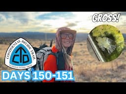 I drank dead bird water 😭 | CDT Days 150-151