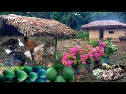 Buhay Probinsya Pag Luluto Ng Ginataang Native Na Manok | Binatang Pinoy