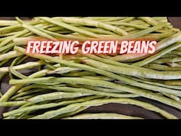 How to Freeze Green Beans || DHBG