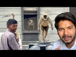 आज बाल बाल बच गए 😭 Wild Animal Attack | Suyash Aswal