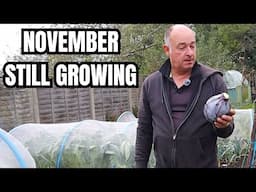 No Dig Veg Garden November Update: Essential Tasks for a Thriving Garden!