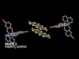 Photoinduced Sequential Activation Dynamics in Halogen Bonded Hybrid System: Unveiled by Researchers