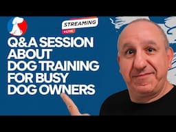 Saro Dog Training Spills All the Secrets!