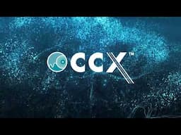 CCUSA | How to install CCX-M | Screwed Option