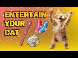 9 Super Easy Ways to Entertain Your Cat at Home!