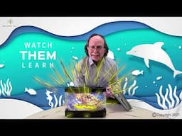 Learn about Oceans  part-2 | for kids