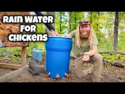 DIY Rain Water for Goats & Chickens | Off-Grid Tennessee Homestead