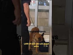 LAPD k9 Unit with LAX airport police