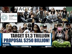 #COP29 Summit Draft Talks About $250 Bn Annual Funding; Climate Activists Shocked