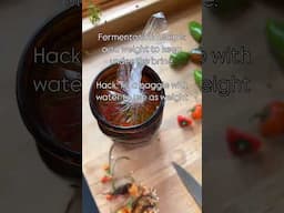 What you think about this hack? #fermentation #canning #canningandpreserving