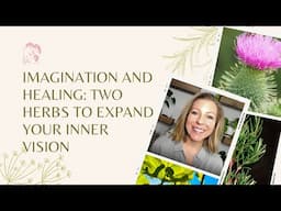 Imagination and Healing: Two Herbs to Expand Your Inner Vision