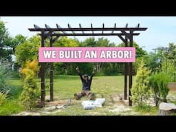 We built an arbor for our wisteria!