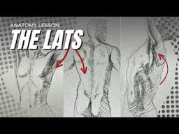 Anatomy for Figure Drawing: Latissimus Dorsi