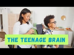 Habits of a Teenage Brain