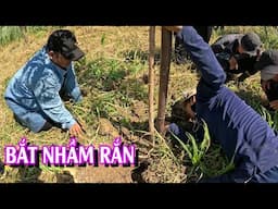 BẮT NHẦM RẮN | TGSB #1024