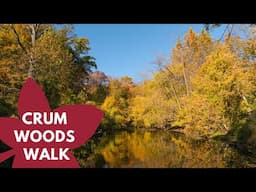 Fall Foliage Walk Through Swarthmore's Crum Woods