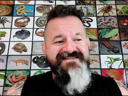 Snakes 'N' Adders Reptile Advice: The future of DWA in the uk.