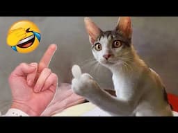 Funniest Cats and Dogs 🐶🐱 | Funny Animal Videos 2023