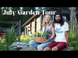 From Overgrown Nettle Field to Abundant Vegetable Garden