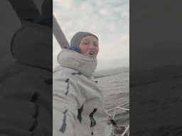 If you don't love Dolphins too, you're dead inside - Sailing Scotland